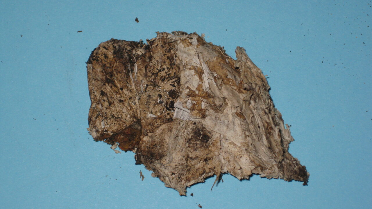 Image of a composter